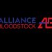 Alliance Bloodstock launches with first Lexington yearling consignment 1