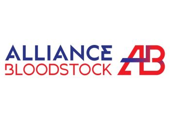 Diamond Creek and Northwood form Alliance Bloodstock