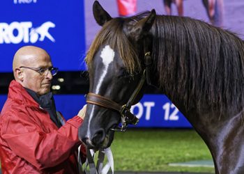 Prix d’Amerique Sale Session #1 Complete