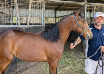 Ashdon Valley offers outstanding fillies