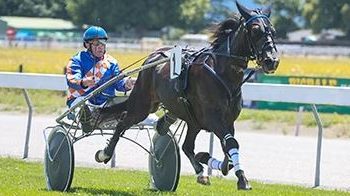 Barry and Blaze shine bright at Blenheim