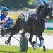 Barry and Blaze shine bright at Blenheim