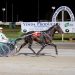 Business in Heaven follows up Leeton classic win