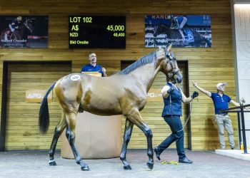 Increases in APG Trotting Series Announced