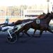 Chestnut rallies to win Prix de Brionne