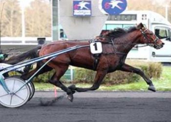 Golden Gio, Joumba de Guez Groupe winners in Paris