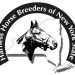 Stallion breeding raffle underway in New York