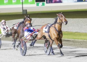 Harry Stamper to miss the Great Southern Star