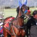 Evergreen pacer in career best form