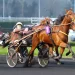 Ino du Lupin, Lissandro Win Gr. III Vincennes Tests 2 Ino du Lupin, Lissandro Win Gr. III Vincennes Tests