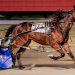 Foster kicks off Rosecroft season with grand slam 2 Foster kicks off Rosecroft season with grand slam