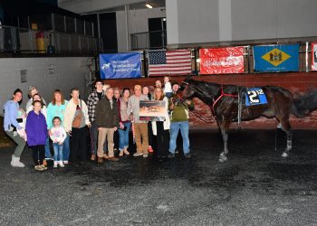 Journeyman gelding reaches $2 million