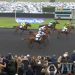 Joumba de Guez wins 700,000€ Prix de Cornulier 2 Joumba de Guez wins 700,000€ Prix de Cornulier