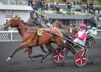 Koctel du Dain dominates in Prix de Croix