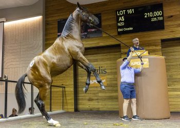 Your best odds to win big in 2025