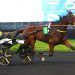 Ludivine wins Prix d’Argences at Vincennes