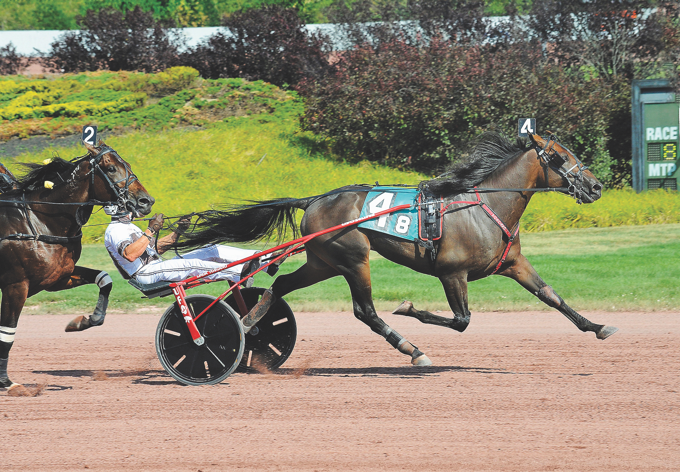 Molotov Cocktail joins Winbak Farm of Delaware 1