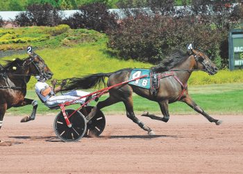 Molotov Cocktail joins Winbak Farm of Delaware