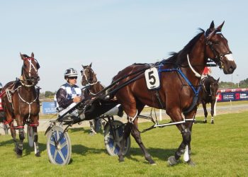 Telfer-Williams double