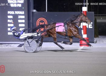 Strong start for Sunshine Beach gelding