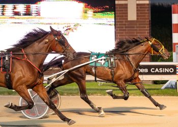 Minnesota Freshman Award winners named