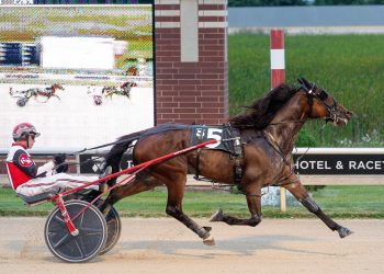 MHRI announces aged trotting award winners