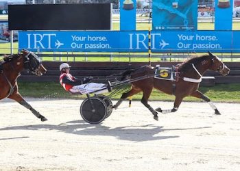 New mixed sale online now