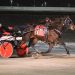 Slendorn scores in NAADA trot 2