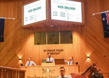 Record-breaking afternoon at the Karaka Yearling Sales