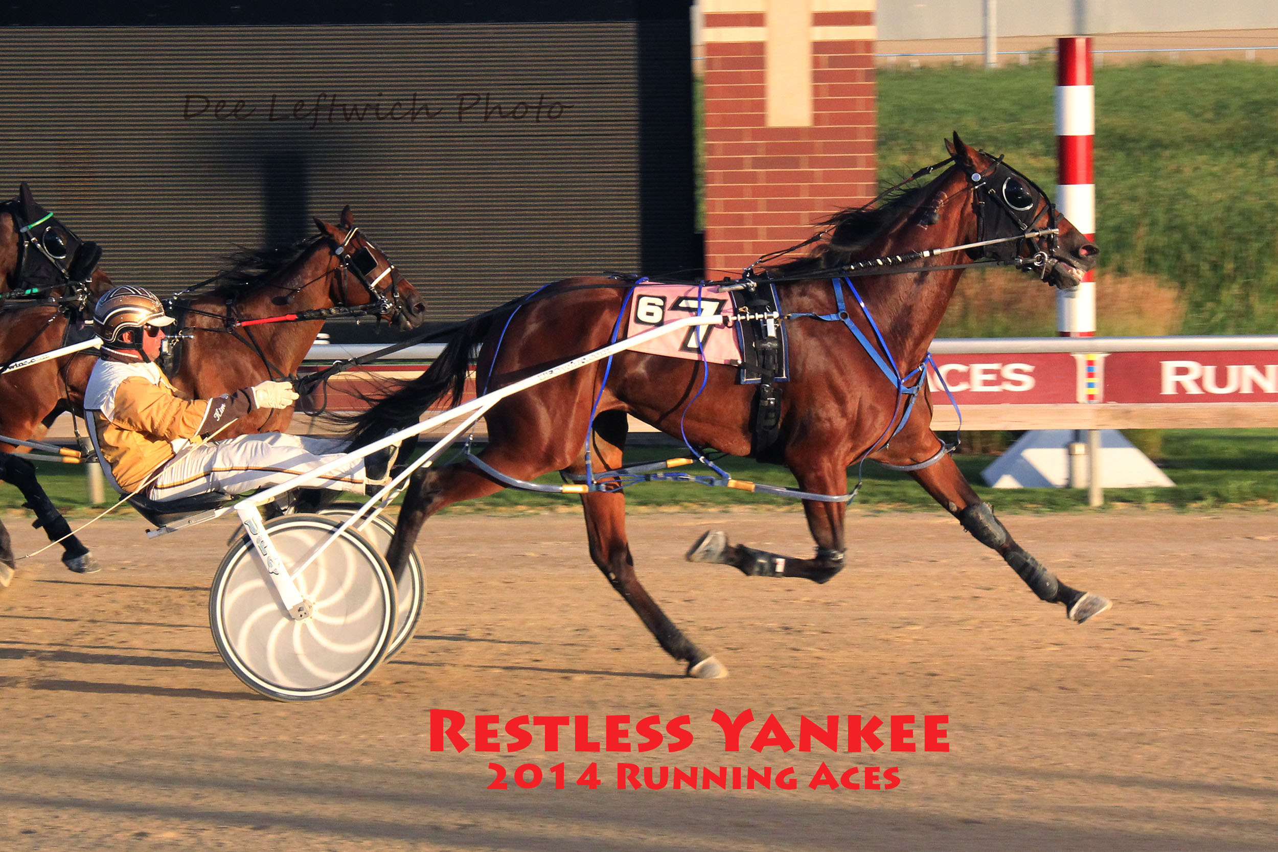 Bringoverthemoney, No Recess, Towner's Love Dove to MHRI HOF 3