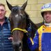Aardie’s Express takes out Ladyship Cup