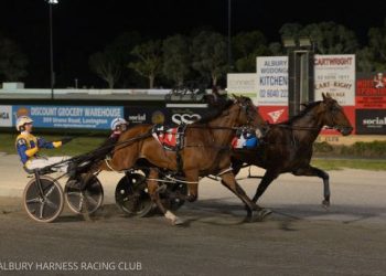 Captain Hammerhead surprises Swayzee in Albury Cup