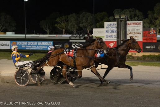 Captain Hammerhead surprises Swayzee in Albury Cup 1