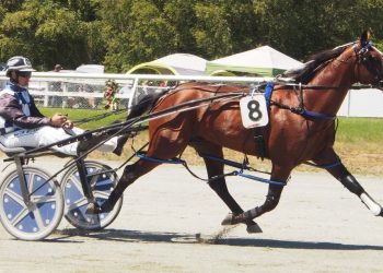 Team Telfer aiming to take out Wairio features