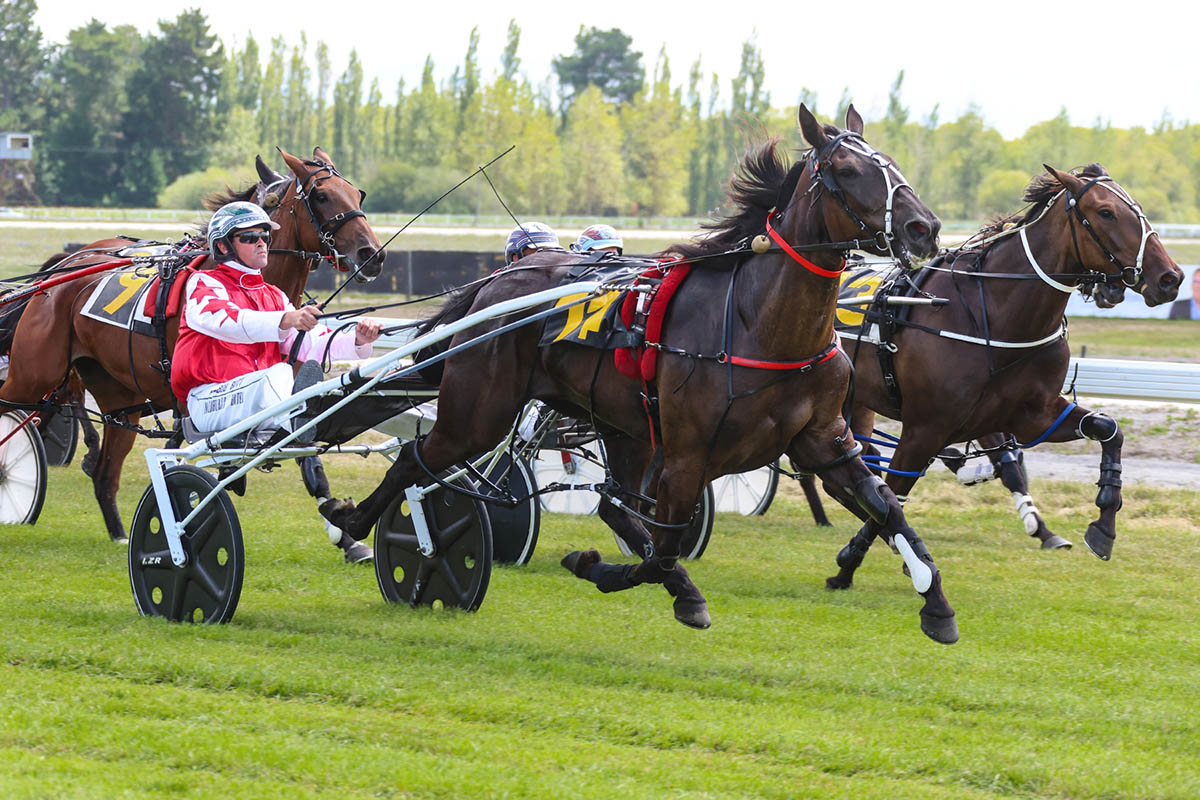 Chocolate Crunch wins on debut