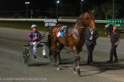 Captain Hammerhead surprises Swayzee in Albury Cup 2