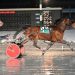 Disturbed Hanover goes wire to wire in the slop