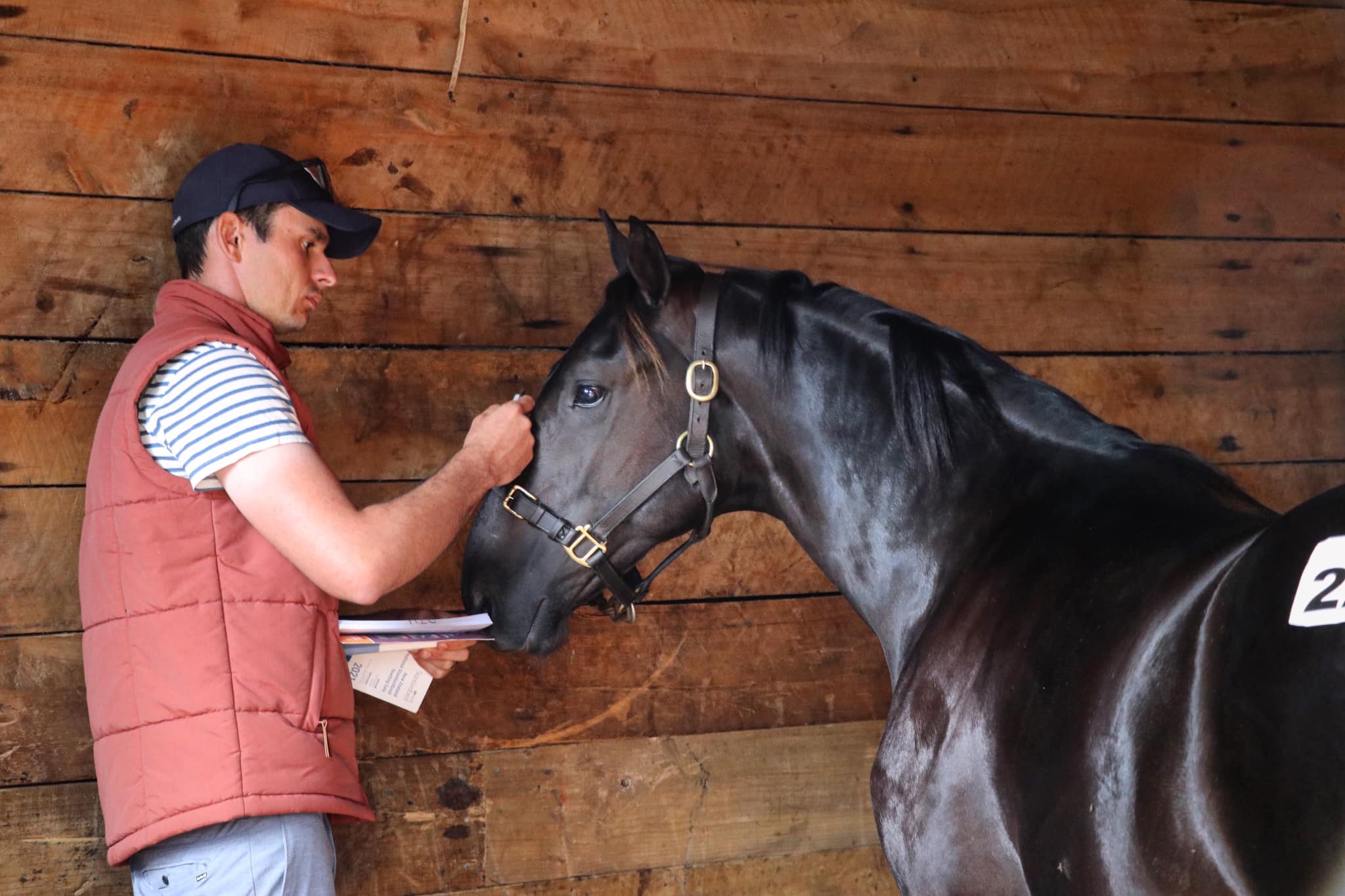 Young Gun Series: David White 1