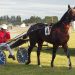 Flashpoint wins first Supremacy heat