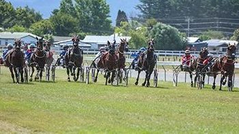 Harness racing heads to Taupo next year