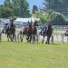 Harness racing heads to Taupo next year