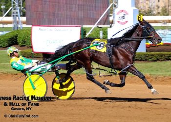 Dewar owes debt to champion mare 