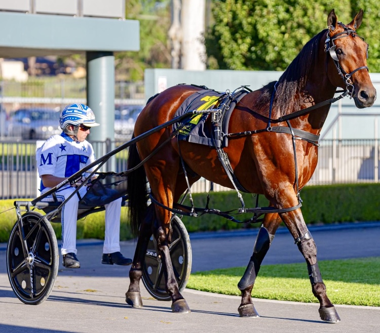 The Captain the X-factor in Albury Cup intrigue 1