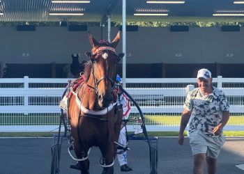 ‘Gut feel’ gets trainer back in the winner’s circle