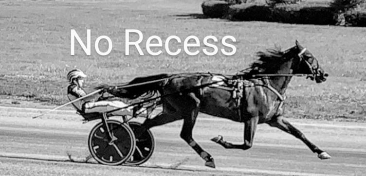 Bringoverthemoney, No Recess, Towner's Love Dove to MHRI HOF 2