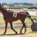 Imperial Man sustains big run to win