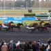 Instant d’Haufor Scores at Vincennes