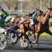 Joumba de Guez dominates in Prix de Paris