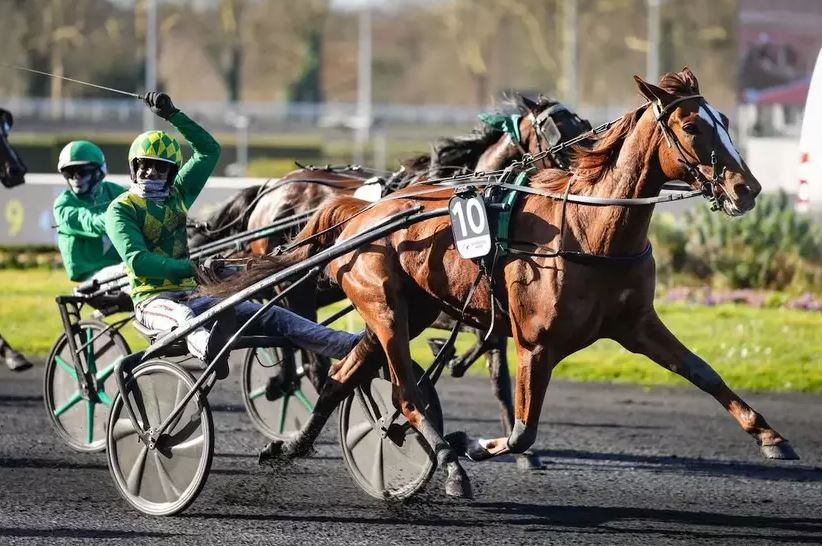 Joumba de Guez dominates in Prix de Paris