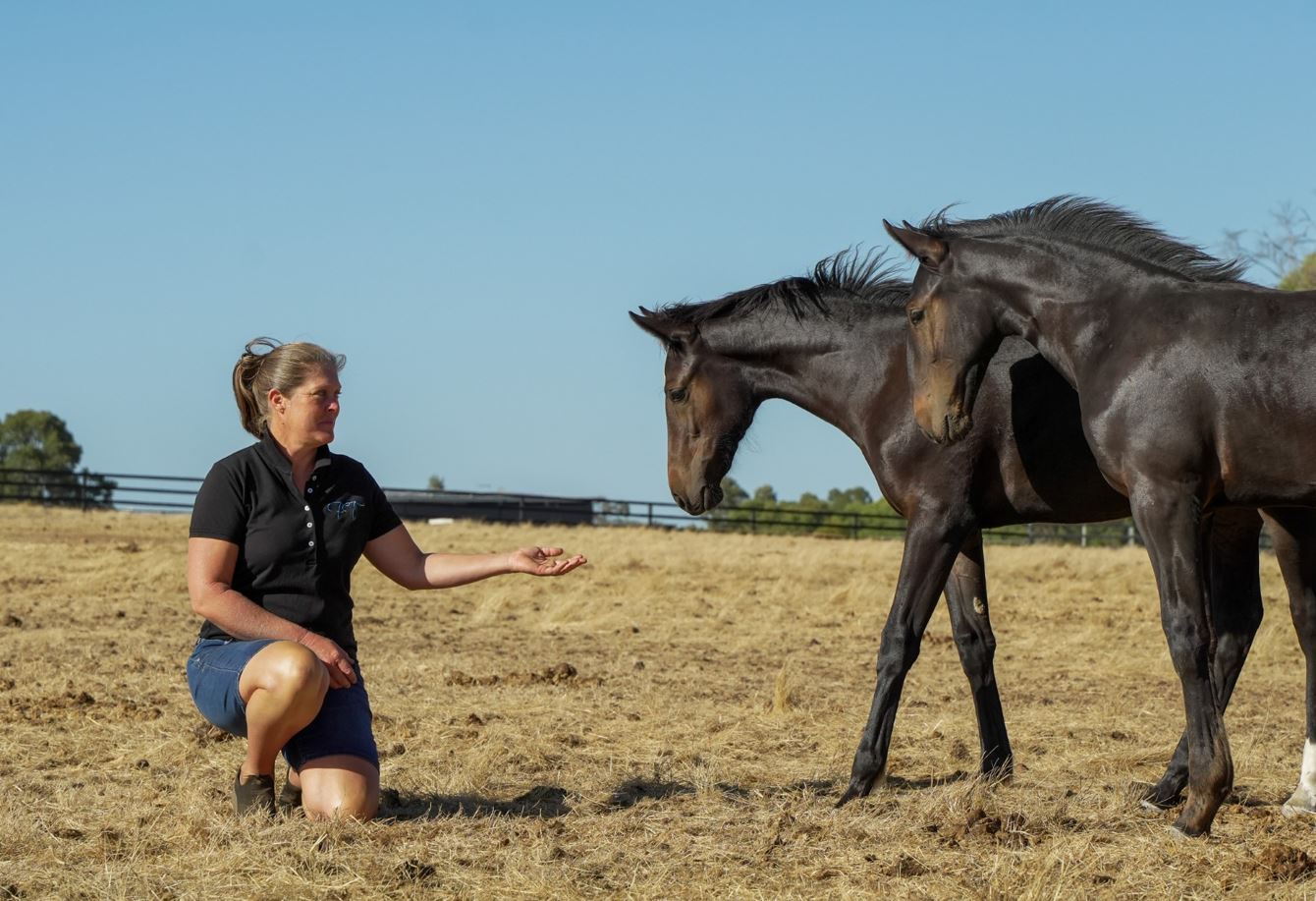 Young breeder opens the wallet